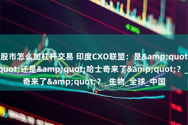股市怎么加杠杆交易 印度CXO联盟：是&quot;狼来了&quot;还是&quot;哈士奇来了&quot;？_生物_全球_中国
